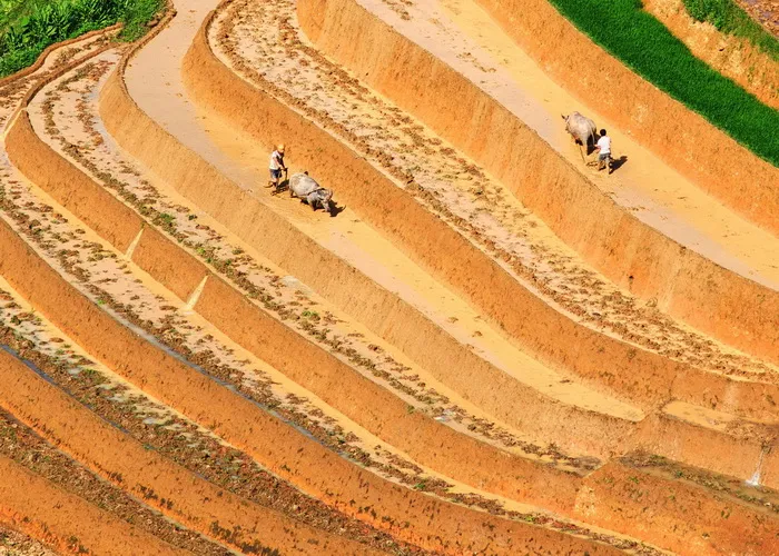 Ảnh dự thi “Vì môi trường xanh” (Phần 1) ảnh 3